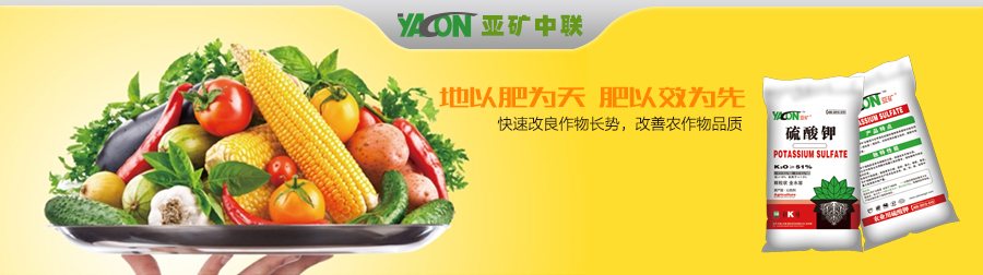 点击转入图片链接