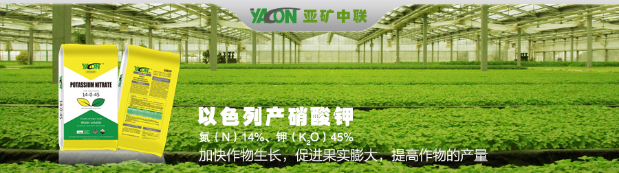 点击转入图片链接