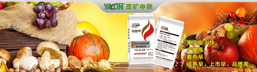 点击转入图片链接